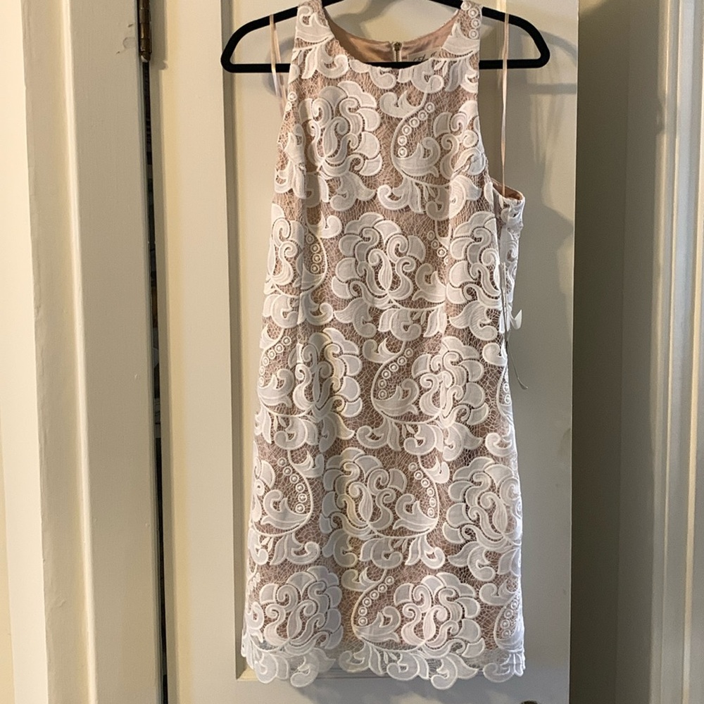 💙NWT Eliza J amazing dress! Size 14💙